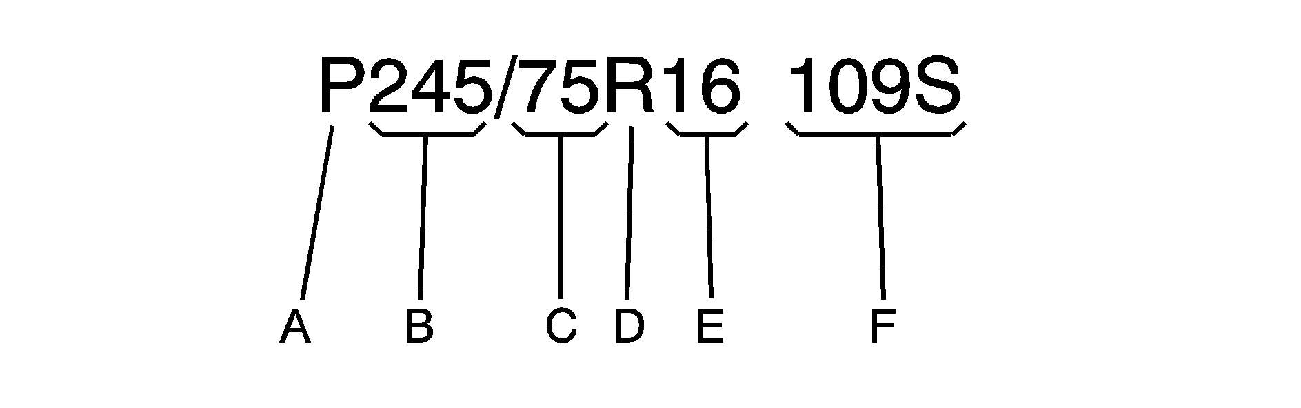 Object Number: 1261694  Size: B1